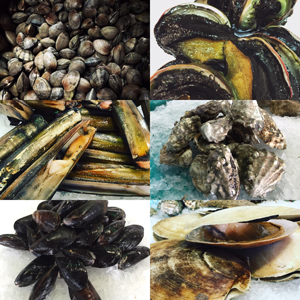 Collage Shellfish